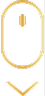 Scroll Indicator